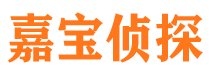 陵县外遇出轨调查取证